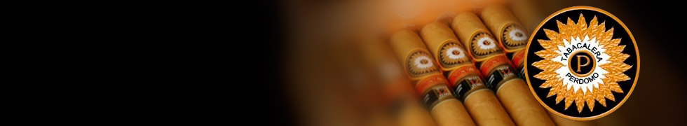 Perdomo Double Aged 12 Year Vintage Connecticut